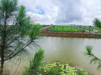 Đất nền Bảo Lộc giá mềm 420 triệu, sổ sẵn công chứng trong ngày Đất nền Bảo Lộc giá mềm 420 triệu, sổ sẵn công chứng trong ngày
