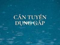 Tuyển trực tiếp vào Siêu Thị làm tại quầy ưu tiên người lớn tuổi Tuyển trực tiếp vào Siêu Thị làm tại quầy ưu tiên người lớn tuổi