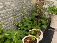 Tổ ấm cho cập vợ chồng trẻ giá mềm Tổ ấm cho cập vợ chồng trẻ giá mềm