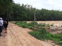Chủ cần bán nền đất Bình Dương.Dầu Tiếng 379tr/1000m2. Chủ cần bán nền đất Bình Dương.Dầu Tiếng 379tr/1000m2.