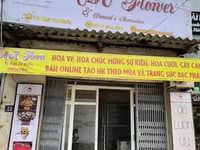 Sang nhanh shop hoa ngay ngã tư Nhổn, Quốc Lộ 32, phường Minh Khai. Sang nhanh shop hoa ngay ngã tư Nhổn, Quốc Lộ 32, phường Minh Khai.