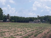 Cần bán đất gấp Bình Dương.Dầu Tiếng .350tr/1000m2 Cần bán đất gấp Bình Dương.Dầu Tiếng .350tr/1000m2