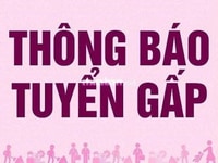 Cần nhân viên tư vân bán hàng tại đà nẵng Cần nhân viên tư vân bán hàng tại đà nẵng