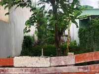 Bán Đất Huyện Đức Hòa Xã Mỹ Hạnh Bắc Đường Tỉnh Lộ 9, 100m2 850 tr Bán Đất Huyện Đức Hòa Xã Mỹ Hạnh Bắc Đường Tỉnh Lộ 9, 100m2 850 tr