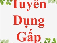 Tuyển nhân viên tư vấn chăm sóc khách hàng Tuyển nhân viên tư vấn chăm sóc khách hàng