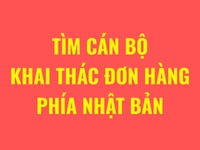 Cần tìm cán bộ khai thác đơn hàng phía Nhật Bản