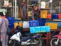 Việc làm lương cao- Giao chở hàng