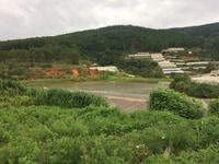Bán gần 4000m2 đất nnông nghiệp,Phường 5 Đà lạt, view hồ và rừng thông Bán gần 4000m2 đất nnông nghiệp,Phường 5 Đà lạt, view hồ và rừng thông