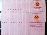 Tổng thanh lý tài sản Quý III 3 lô góc và 18 nền đất Khu Vực Bình Tân Tổng thanh lý tài sản Quý III 3 lô góc và 18 nền đất Khu Vực Bình Tân