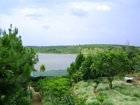 Chính chủ sang lại lô đất 266m2 ở Phan Chu Trinh, Bảo Lộc Chính chủ sang lại lô đất 266m2 ở Phan Chu Trinh, Bảo Lộc