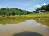 Cơ hội sở hữu cho các nhà đầu tư 5000m2 có hơn 200m2 Cơ hội sở hữu cho các nhà đầu tư 5000m2 có hơn 200m2