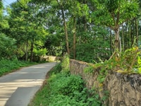 Cần Chuyển Nhượng 800m Đất Thổ Cư Gần Đường Hồ Chí Minh Cần Chuyển Nhượng 800m Đất Thổ Cư Gần Đường Hồ Chí Minh