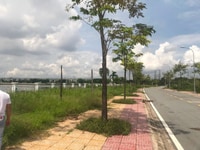 Bán lô đất nhà phố sổ đỏ khu bộ công an Phạm Hữu Lầu cạnh GS Bán lô đất nhà phố sổ đỏ khu bộ công an Phạm Hữu Lầu cạnh GS