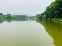 Cơ hội duy nhất sở hữu đất thổ cư bán hồ giá siêu rẻ Cơ hội duy nhất sở hữu đất thổ cư bán hồ giá siêu rẻ
