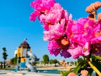 Duy nhất 1 lô đất nền BT view sân Golf,mặt sông Cổ Cò,sát biển Đà Nẵng Duy nhất 1 lô đất nền BT view sân Golf,mặt sông Cổ Cò,sát biển Đà Nẵng
