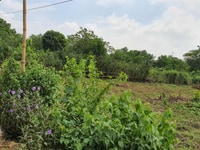 Cần Thanh Lý Rẻ Lô Đất 2500m Giá 1,6 Tỷ Xã Hợp Hòa Cần Thanh Lý Rẻ Lô Đất 2500m Giá 1,6 Tỷ Xã Hợp Hòa