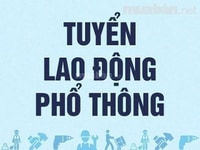 Trực tiếp Nhận Nam/nữ bán hàng cố định tại Siêu Thị Mini từ 18-55 tuổi Trực tiếp Nhận Nam/nữ bán hàng cố định tại Siêu Thị Mini từ 18-55 tuổi