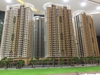 Bán căn hộ Cao Cấp Tecco Elite City Thái Nguyên 2 ngủ chỉ 990tr Bán căn hộ Cao Cấp Tecco Elite City Thái Nguyên 2 ngủ chỉ 990tr
