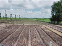 Bán đất vườn giá rẻ nằm ngay khu dân cư, 1000m2 sổ hồng riêng Bán đất vườn giá rẻ nằm ngay khu dân cư, 1000m2 sổ hồng riêng