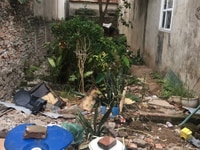 Cần Bán Gấp Lô Đất Vị Trí Đất Đẹp Thông Thoáng Cần Bán Gấp Lô Đất Vị Trí Đất Đẹp Thông Thoáng