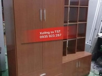 Tủ quần áo kèm kệ trưng bày nhựa Đài Loan cao cấp Tủ quần áo kèm kệ trưng bày nhựa Đài Loan cao cấp