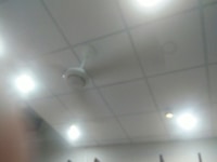 Sang mặt bằng kiot gần công viên chợ hạnh thông tây Sang mặt bằng kiot gần công viên chợ hạnh thông tây