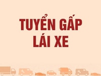 Cần tuyển tài xế dấu B2, C. Chạy xe dịch vụ, 4 chỗ, 7 chỗ