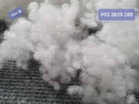 Chuyên Cung Cấp Sỉ & Lẻ Các Loại : Bông Gòn Xơ ,Bông Gòn Bi ,Gòn Lông Chuyên Cung Cấp Sỉ & Lẻ Các Loại : Bông Gòn Xơ ,Bông Gòn Bi ,Gòn Lông