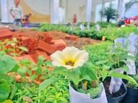 Mới! Dự án mới Century City, Đất vàng mặt tiền đường ĐT 769. Mới! Dự án mới Century City, Đất vàng mặt tiền đường ĐT 769.