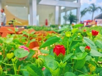 Góc cảnh báo, dự án mới tại đường ĐT 769, xem ngay kẻo muộn Góc cảnh báo, dự án mới tại đường ĐT 769, xem ngay kẻo muộn