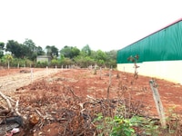 Đất thổ cư, quy hoạch, 2 mặt tiền, bao đẹp, 5*22,5m đối Diện Hoa Viên Đất thổ cư, quy hoạch, 2 mặt tiền, bao đẹp, 5*22,5m đối Diện Hoa Viên