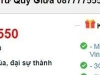 Sim số Đẹp dễ nhớ mạng Vina: Tứ quý + Tam hoa xx.7777.5550 đầu số 08 Sim số Đẹp dễ nhớ mạng Vina: Tứ quý + Tam hoa xx.7777.5550 đầu số 08