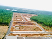 Bán Đất Nền Xã Tân Lập Đối Diện Cổng Khu Công Nghiệp Hà Mỵ Thổ Cư 100% Bán Đất Nền Xã Tân Lập Đối Diện Cổng Khu Công Nghiệp Hà Mỵ Thổ Cư 100%