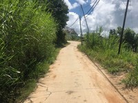 Cần bán lô đất xây dựng tại Xuân Thọ - TP Đà Lạt Cần bán lô đất xây dựng tại Xuân Thọ - TP Đà Lạt