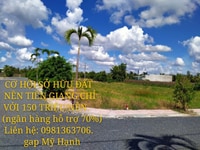 Bán đất nền khu công nghiệp Tân Hương Bán đất nền khu công nghiệp Tân Hương