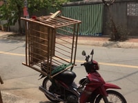 Củi em bé kèm chiếu lót cho bé tập ăn đi Củi em bé kèm chiếu lót cho bé tập ăn đi