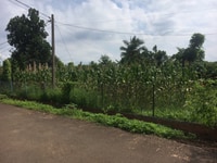 Bán đất thôn 2 xã eakao 20x52m giá 550tr Bán đất thôn 2 xã eakao 20x52m giá 550tr