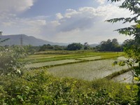 Bán gấp thổ cư view cánh đồng tuyệt đẹp tại Lương Sơn, Hòa Bình Bán gấp thổ cư view cánh đồng tuyệt đẹp tại Lương Sơn, Hòa Bình