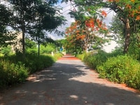 Bán đất phân lô AN TRÌ diện tích,60m2 Bán đất phân lô AN TRÌ diện tích,60m2
