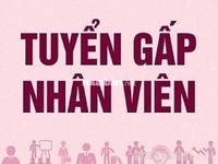 Cần tuyển bán hàng cho cửa hàng mini không cần kinh nghiệm Cần tuyển bán hàng cho cửa hàng mini không cần kinh nghiệm