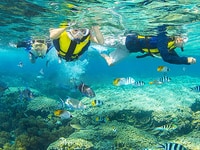 Tour du lịch trong ngày tại Nha Trang Tour du lịch trong ngày tại Nha Trang