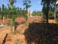 Bán đất Tỉnh Lộ 329, thị trấn Xuyên Mộc, gần chợ trung tâm Xuyên Mộc Bán đất Tỉnh Lộ 329, thị trấn Xuyên Mộc, gần chợ trung tâm Xuyên Mộc