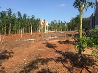 Bán đất Xuyên Mộc 1 sẹc Tỉnh Lộ 329, diện tích 13*50m, thổ cư 50m2 Bán đất Xuyên Mộc 1 sẹc Tỉnh Lộ 329, diện tích 13*50m, thổ cư 50m2