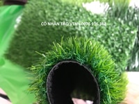 Cỏ nhân tạo giá rẻ, chất lượng, hàng nhập khẩu Cỏ nhân tạo giá rẻ, chất lượng, hàng nhập khẩu