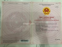 Chính chủ bán nhà cấp 4, Trung Mỹ Tây 13,P. Trung Mỹ Tây, Q12 Chính chủ bán nhà cấp 4, Trung Mỹ Tây 13,P. Trung Mỹ Tây, Q12
