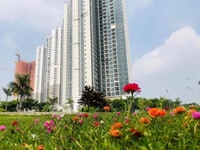 CHiết khấu 13% shophouse căn hộ chung cư ECO Green SÀi Gòn Quận 7 CHiết khấu 13% shophouse căn hộ chung cư ECO Green SÀi Gòn Quận 7