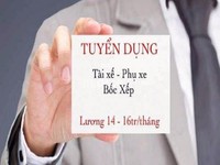 BÌNH ĐỊNH ==> Tuyển Nam Lái Xe Tải Nhẹ + Phụ Lơ + Phụ Kho BÌNH ĐỊNH ==> Tuyển Nam Lái Xe Tải Nhẹ + Phụ Lơ + Phụ Kho
