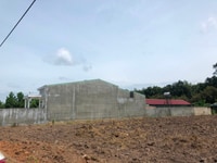 Kẹt tiền tôi cần bán 500m2 đất ngay kcn Becamex: Kẹt tiền tôi cần bán 500m2 đất ngay kcn Becamex: