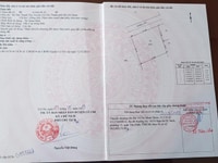 Bán đất 1300m đường nguyễn thị quơ Tân Thạnh Tây củ chi, gía; 6tỷ9 tl Bán đất 1300m đường nguyễn thị quơ Tân Thạnh Tây củ chi, gía; 6tỷ9 tl