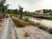 Cần bán đất Vĩnh thanh CLN giá rẻ đường ô tô. 1 tỷ 1000m sổ riêng đất Cần bán đất Vĩnh thanh CLN giá rẻ đường ô tô. 1 tỷ 1000m sổ riêng đất